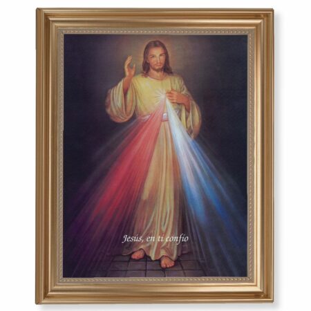 Divine Mercy (Spanish) Gold Framed Art