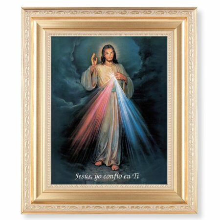 Divine Mercy (Spanish) Gold Framed Art