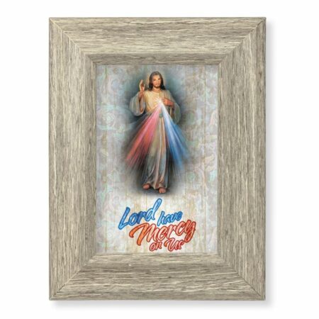 Divine Mercy House Blessing Gray Framed Art