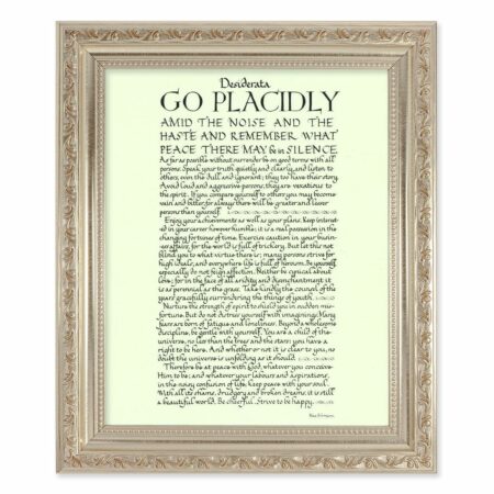 Go Placidly Antique Silver Framed Art