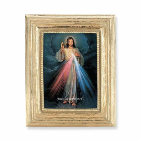 Divine Mercy (Spanish) Gold Framed Print