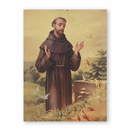 St. Francis Textured Wood