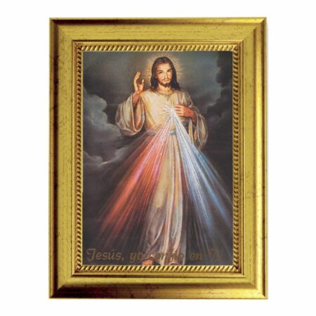 Divine Mercy (Spanish) Gold-Leaf Framed Art