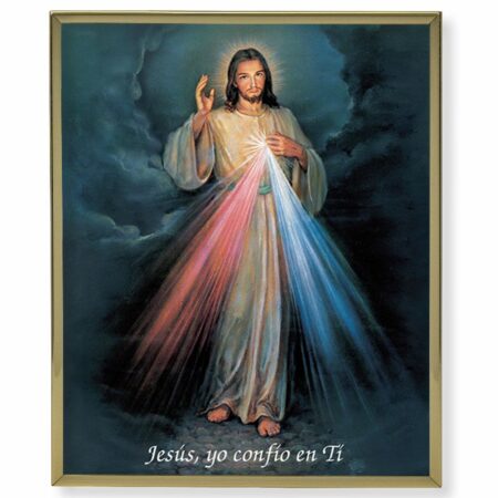 Divine Mercy (Spanish) Gold Framed Plaque Art