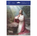 Christ on the Mount of Olives Print