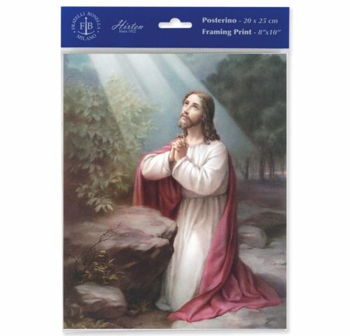 Christ on the Mount of Olives Print