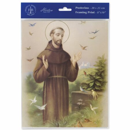 St. Francis Print