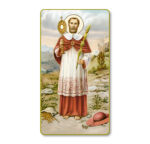 Saint Ramon Nonanto Paper Holy Card - 100 Pack