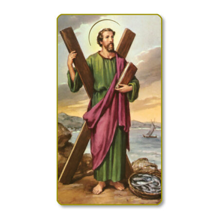 Saint Andrew Paper Holy Card - 100 Pack