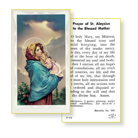 Prayer to the Blessed Mother Holy Card - 100 Pack