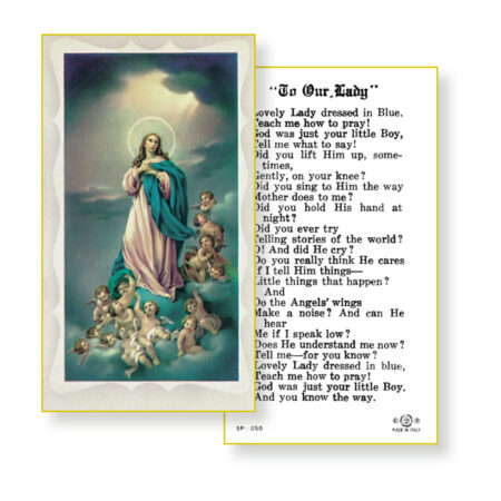 Lovely Lady Dressed in Blue Holy Card - 100 Pack