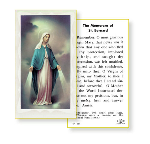 Our Lady of Grace Holy Card - 100 Pack