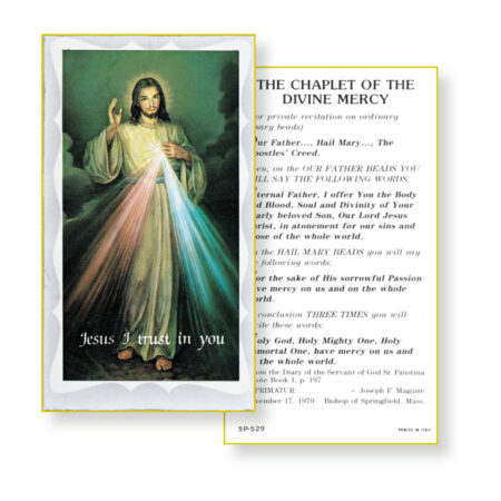 Chaplet of the Divine Mercy Holy Card - 100 Pack