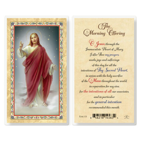 The Morning Offering Gold-Stamped Laminated Holy Card - 25 Pack