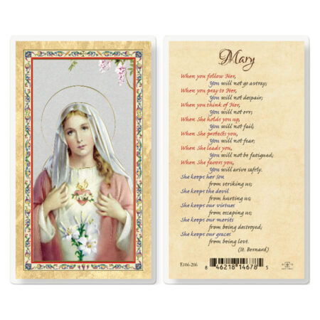 Mary When You Follow Her Gold-Stamped Laminated Holy Card - 25 Pack