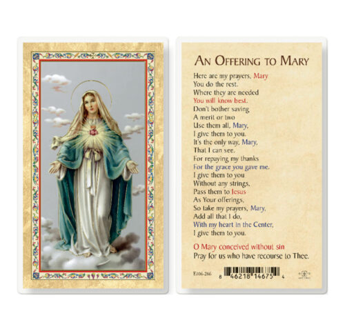 An Offering to Mary - IHM Gold-Stamped Laminated Holy Card - 25 Pack