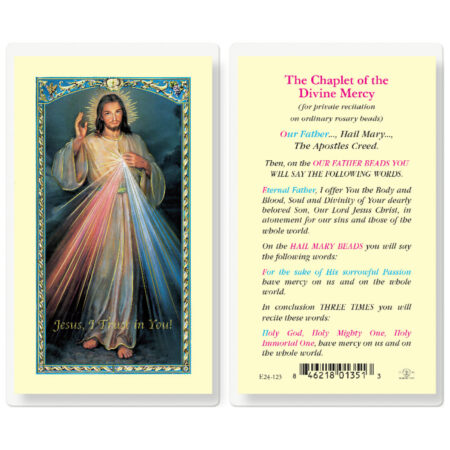 Divine Mercy Chaplet Laminated Holy Card - 25 Pack
