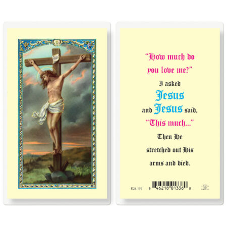 Crucifixion-I asked Jesus Laminated Holy Card - 25 Pack