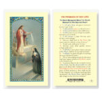 Promises of Our Lord Laminated Holy Card - 25 Pack