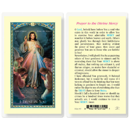Jesus Christ King of Mercy Laminated Holy Card - 25 Pack