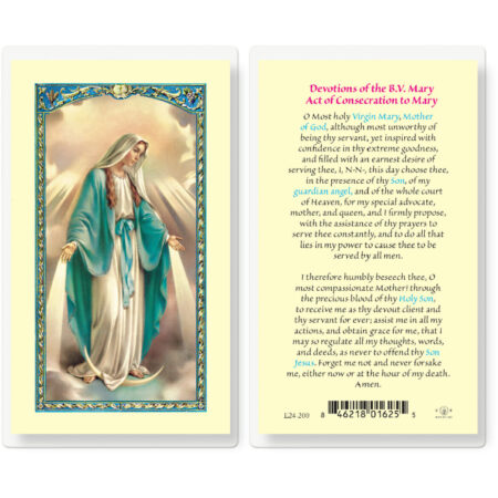 Devotions of the Blessed Virgin Mary Laminated Holy Card - 25 Pack
