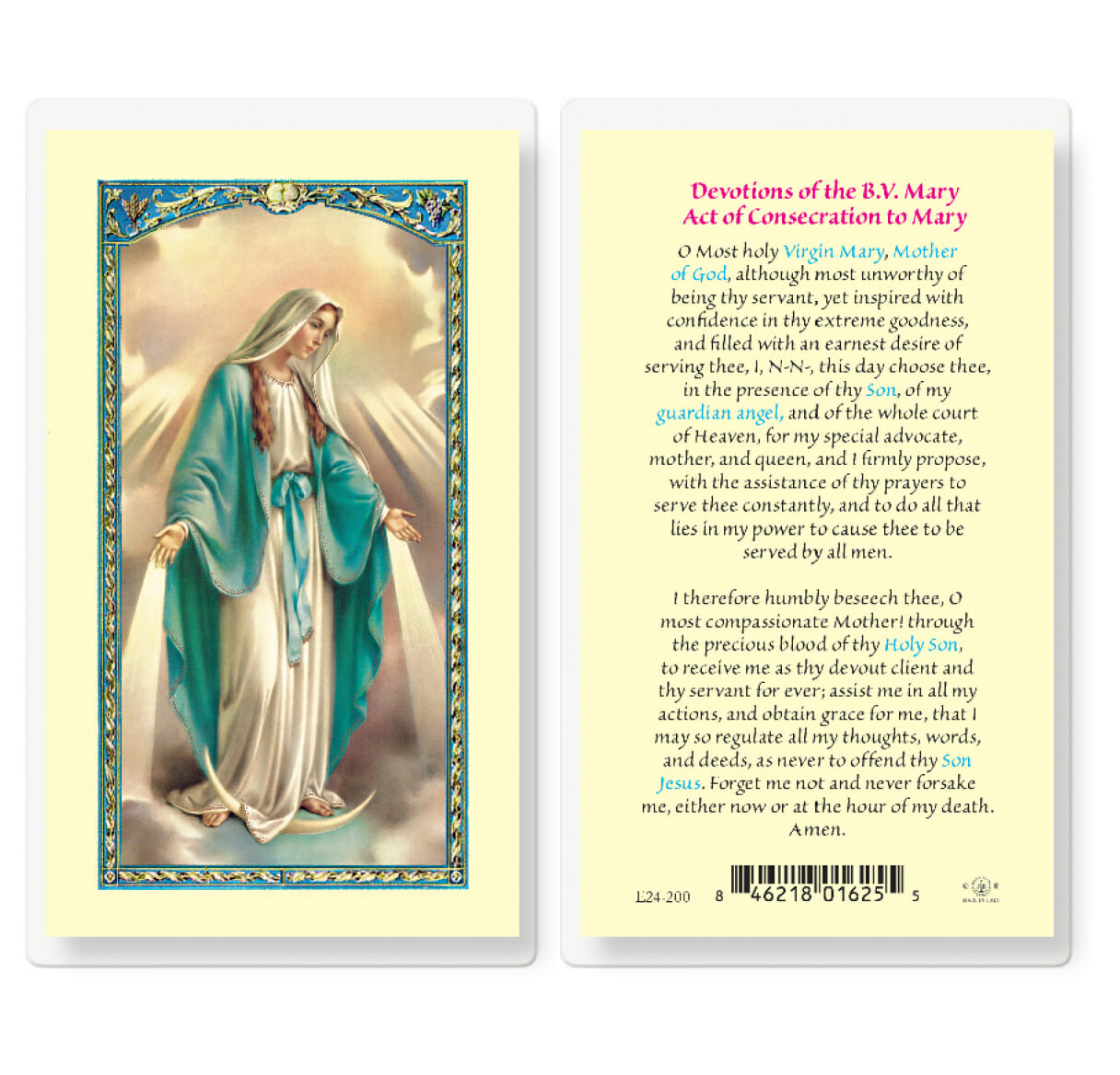 Devotions of the Blessed Virgin Mary Laminated Holy Card - 25 Pack ...