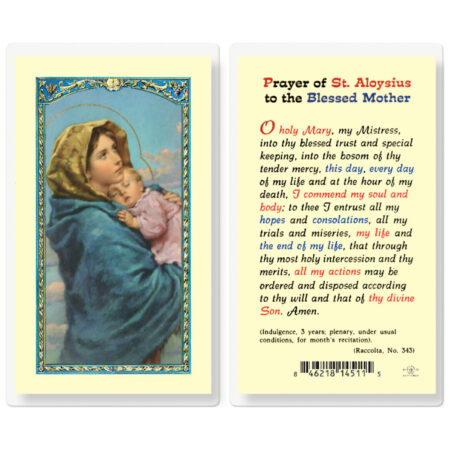 Prayer of Saint Aloysius to the Blessed Mother Laminated Holy Card - 25 Pack
