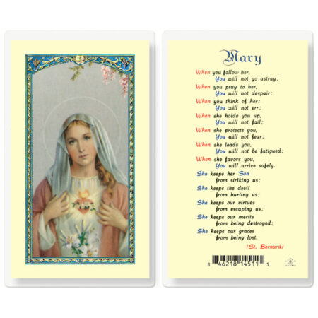 Mary When You Follow Her Laminated Holy Card - 25 Pack