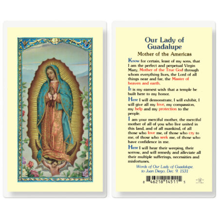 Our Lady of Guadalupe Laminated Holy Card - 25 Pack