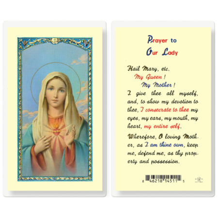 Our Lady Laminated Holy Card - 25 Pack