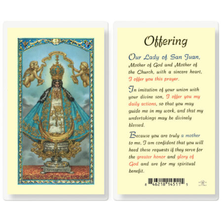 Our Lady of San Juan Laminated Holy Card - 25 Pack