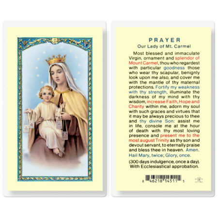 Our Lady of Mount Carmel Laminated Holy Card - 25 Pack