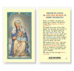 Our Lady of Divine Providence Laminated Holy Card - 25 Pack