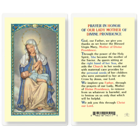 Our Lady of Divine Providence Laminated Holy Card - 25 Pack