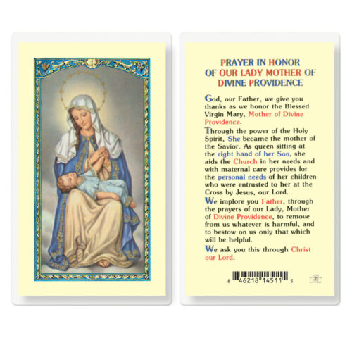 Our Lady of Divine Providence Laminated Holy Card - 25 Pack
