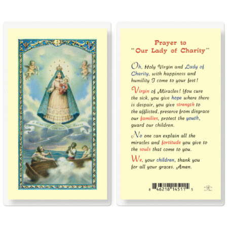 Our Lady of Charity Laminated Holy Card - 25 Pack