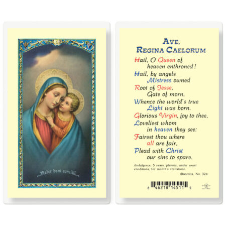 Our Lady of Good Counsel Laminated Holy Card - 25 Pack