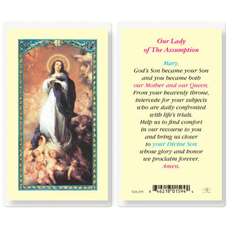 Our Lady of the Assumption Laminated Holy Card - 25 Pack
