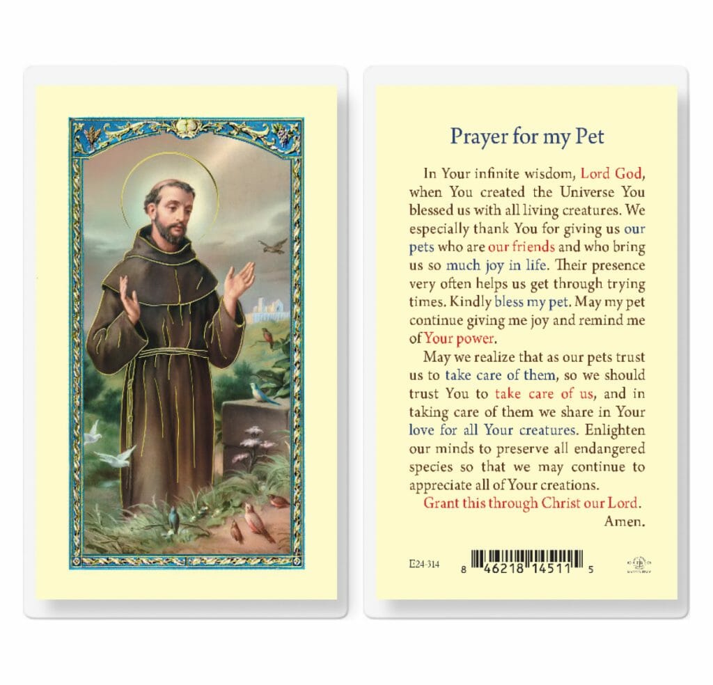 saint-francis-prayer-for-my-pet-laminated-holy-card-25-pack-buy