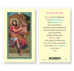 Saint David Laminated Holy Card - 25 Pack