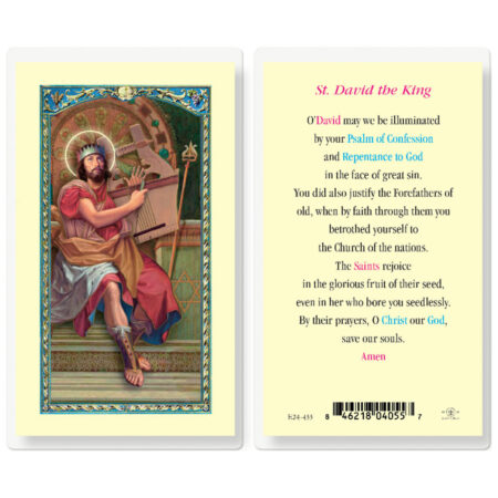 Saint David Laminated Holy Card - 25 Pack