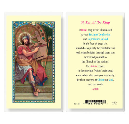 Saint David Laminated Holy Card - 25 Pack