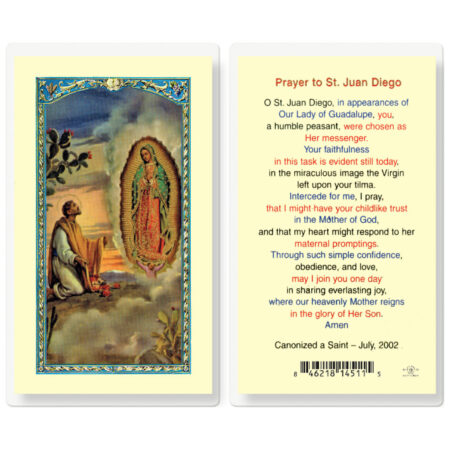 Saint Juan Diego with Guadalupe Laminated Holy Card - 25 Pack