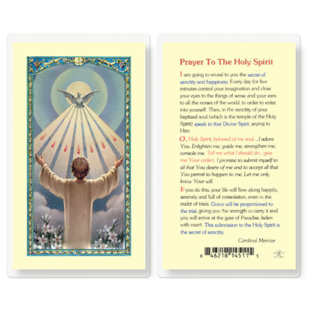 Confirmation Holy Spirit Laminated Holy Card - 25 Pack
