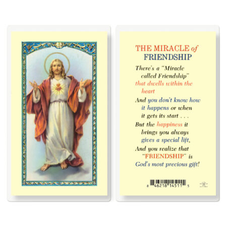Miracle of Friendship Laminated Holy Card - 25 Pack