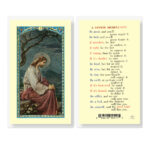 Savior Meditation Laminated Holy Card - 25 Pack