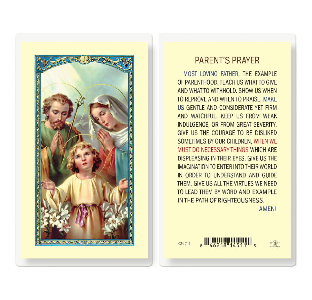 Our Lady of Divine Mercy Chaplet Laminated Holy Card - 25 Pack - Buy ...