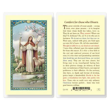 Comfort for Those Who Mourn Laminated Holy Card - 25 Pack