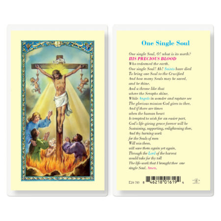 One Single Soul Laminated Holy Card - 25 Pack