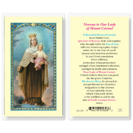 Our Lady of Mount Carmel Laminated Holy Card - 25 Pack